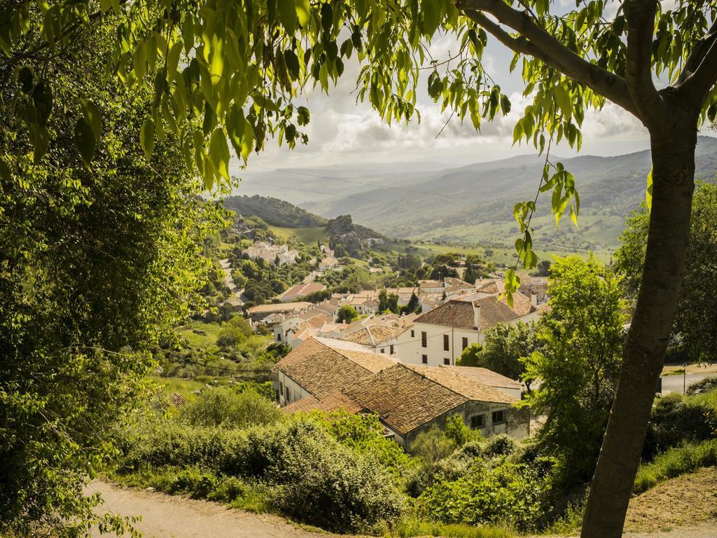 Ferienwohnung El Artista Grazalema Exterior foto